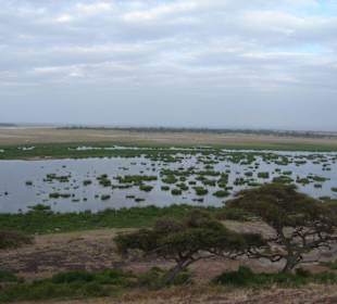 Amboseli