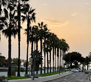 Wandern Puerto de la Cruz