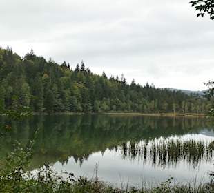Unterwegs im Wandergebiet von Inzell
