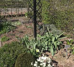 Rosengarten 