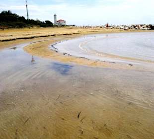 Strand Bibione 06_2011