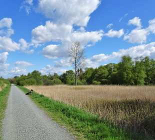 Impressionen vom Bederkesaer See