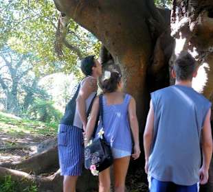 Royal Botanic Gardens