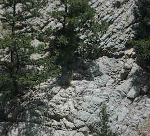 Oymapinar Baraji/ Stausee Green Lake & Green Canyon
