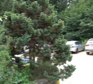 Hochgeträumt Premiumwanderung