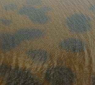 Wasser bis zum Grund