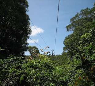 Kuranda