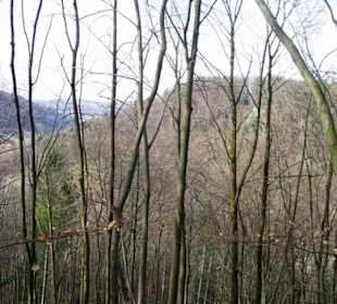 Noch kann man Durchsehen