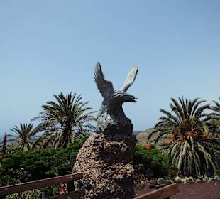 Oasispark - Kakteengarten - Juli 2015