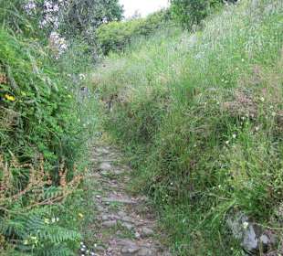 Auf dem Weg nach Benabbio