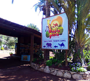 Oasis Park in La Lajita