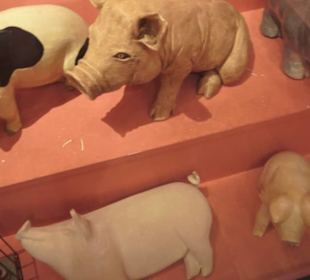 SchweineMuseum