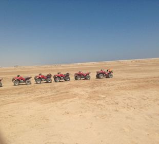 Die Quads! 