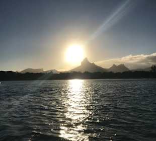 Sonnenaufgang beim Delfinschwimmen