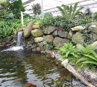 Raffeiner Orchideenwelt