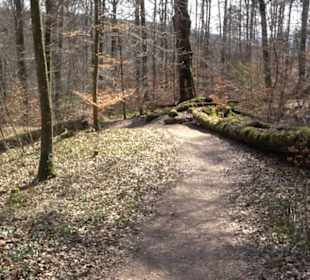 Geologischer Lehrpfad Kirnbachtal