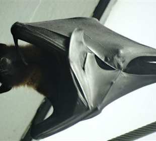 Rundgang im Tierpark