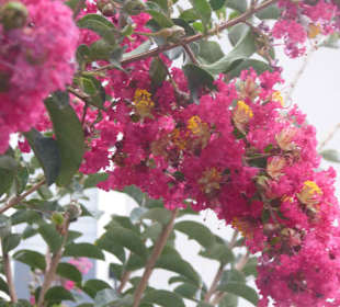 Stadtrundgang Zungri