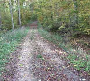 Keltische Grabstätten Stockach