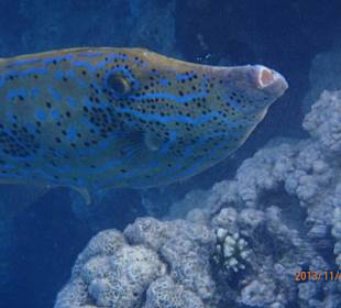 В лагуне отеля