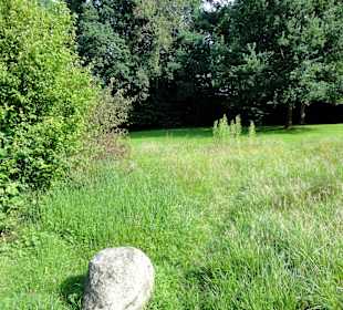 Spaziergang durch den Stadtpark