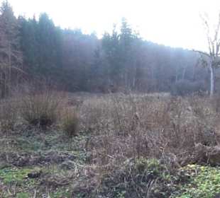 Schönbuch Schaichtal