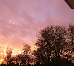 Sonnenuntergang - Plantage Parklaan