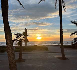 Strandpromenade Playa/Platja de Palma