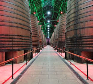 Im Fasslager der Kellerei