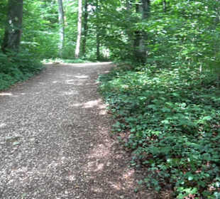 Burg Alt-Lichtenstein