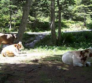 Krimmelské vodopády