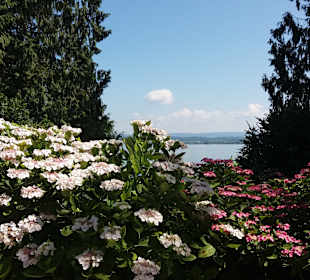 Insel Mainau