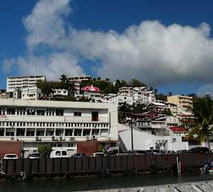Stadtrundfahrt mit dem Pferdewagen