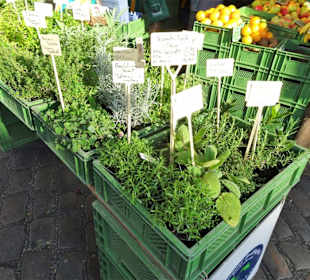 Eindrücke vom Wochenmarkt Südermarkt