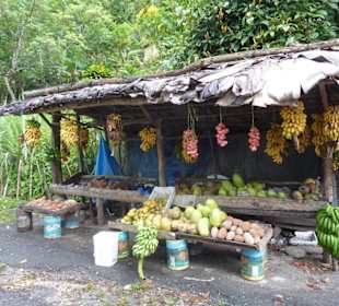 Erntefrisches Obst überall