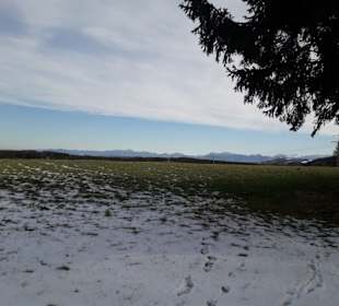 Bühlach Blick in die Alpen