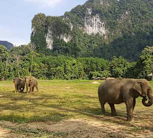 Khao Sok Nationalpark