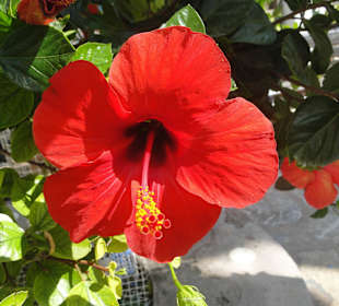 Kreta Wschodnia