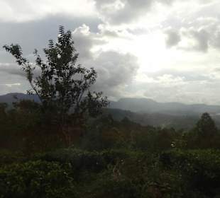 Hochland von Sri Lanka