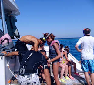 Delfintour 07.08.2012 