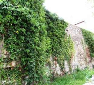 Stadtmauer Sopron