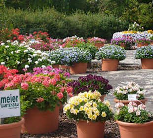 Der große Blumenplatz 