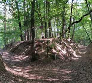 Schöner Waldweg