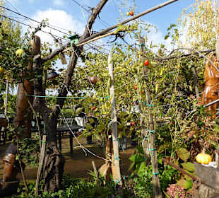 Weinbauernhof Hlebec