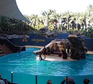 Loro Parque 