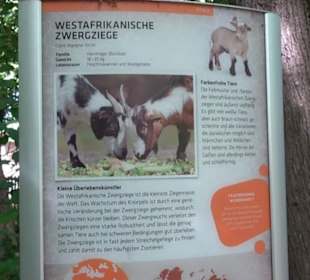 Tierpark Hellabrunn - Afrika