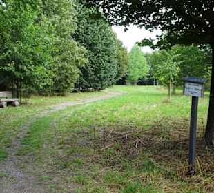 Rundgang durch das Arboretum in Wildeshausen