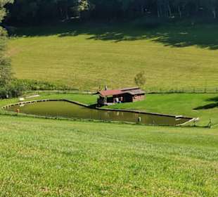 Ein kleiner Fischteich