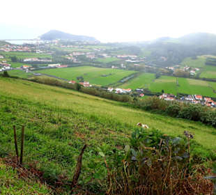 Inselrundfahrt Faial 