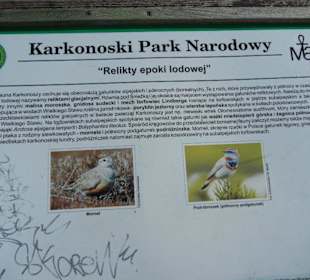 Schneekope/Śnieżka